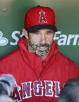 Baseball: Angels manager Brad Ausmus