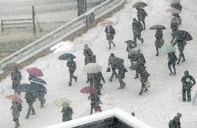 Heavy snow blankets eastern Japan