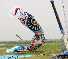 Jumbo carp streamer hoisted ahead of Children's Day in Japan