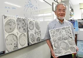 Japanese scientist Yoshinori Osumi wins Nobel Prize in medicine