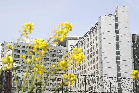 Tokyo detention center