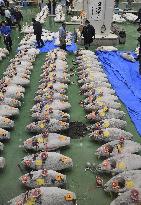 Tuna auction in Tokyo