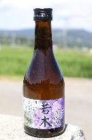 Sake brewed in memory of Kumamoto earthquake victim