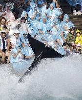 Attraction at Kamogawa Sea World in Japan