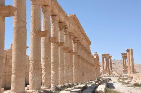 Palmyra ruins in Syria after ISIS's withdrawal