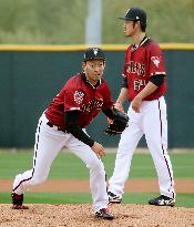 Baseball: D-Backs spring training