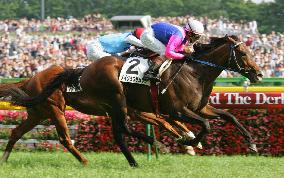 Meisho Samson wins Japanese Derby