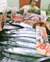 Poor catch of Pacific saury anticipated
