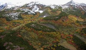 Mt. Asahi observed season's first snow