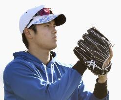 Baseball: Otani to be removed from WBC roster