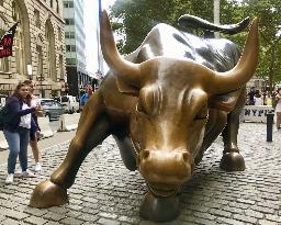 Charging Bull in New York