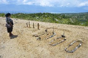 Indonesia quake-tsunami aftermath