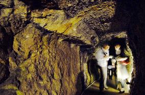 Japan's Iwami silver mine to become World Heritage site