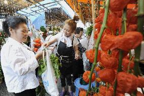 Annual Hozuki Fair begins in Tokyo's Asakusa