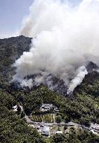 Bushfire burns 86 hectares of wooded land in Ehime Pref.
