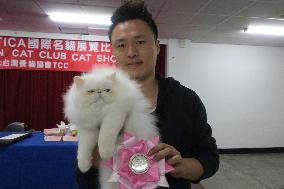 Himalayan kitten wins judges' hearts at Taiwan cat show