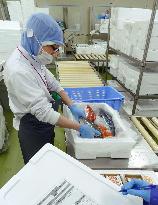 Freshly caught fish now ready for Tokyo consumers within a day