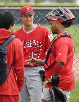 Baseball: Ohtani at Angels spring training