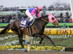 Meisho Bowler romps to victory at Feb. Stakes