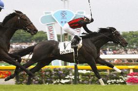 Eishin Flash wins Japanese Derby