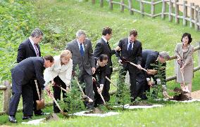 G-8 leaders plant new variety of pine trees