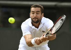 Tennis: Cilic advances to Wimbledon semifinals