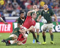 Rugby World Cup in Japan: Wales v South Africa