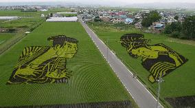 CORRECTED:''Rice Paddy Art'' in Aomori