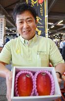 Miyazaki mangoes fetch 400,000 yen at first auction of the year