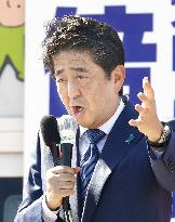 LDP eyes solid victory as Koike's party lags behind: Kyodo poll