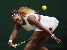 Tennis: Wimbledon championships