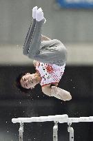 Gymnastics: Uchimura completes dominant decade at nationals