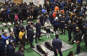 Tuna auction in Tokyo