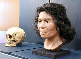 Face of woman from prehistoric Japan