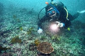 Changes of marine life in eastern Japan