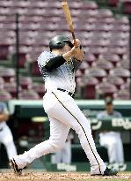 Baseball in Japan