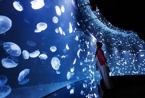 New jellyfish tank at Tokyo aquarium