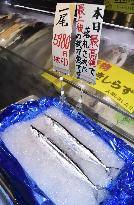 Season's first saury in northern Japan