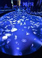 New jellyfish tank at Tokyo aquarium
