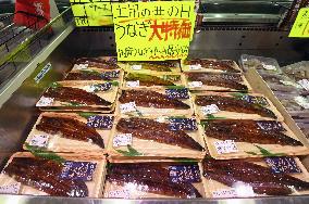 Traditional eel-eating day in Japan