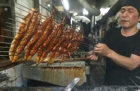 Traditional eel-eating day in Japan