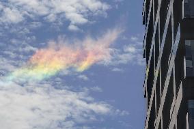 Circumhorizontal arc observed in Tokyo