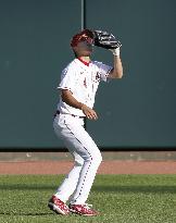 Baseball: Cubs v Reds