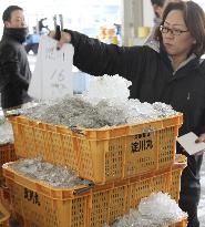 Whitebait loaded at Osaka port