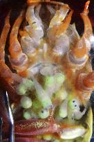 Deep sea shrimp at northeastern Japan aquarium