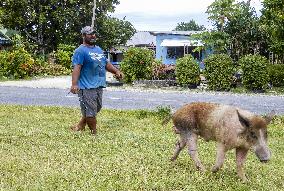 Scenes from Tuvalu