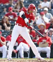 Baseball: MLB spring training