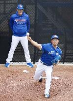 Baseball: MLB spring training