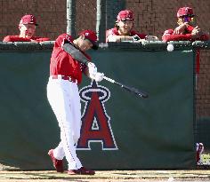 Baseball: MLB spring training