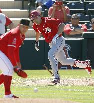 Baseball: Angels v Reds